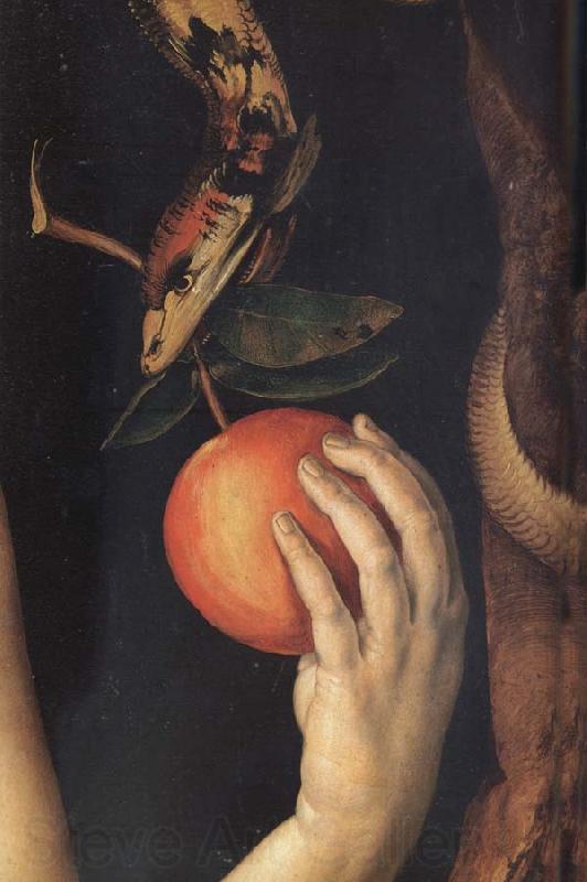 Albrecht Durer Adam and Eves France oil painting art